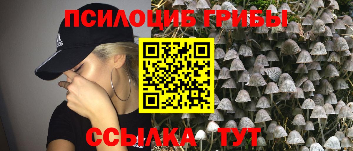 Галлюциногенные грибы ЛСД  Галлюциногенные грибы Psilocybine cubensis  Вход с VPN  Майский 