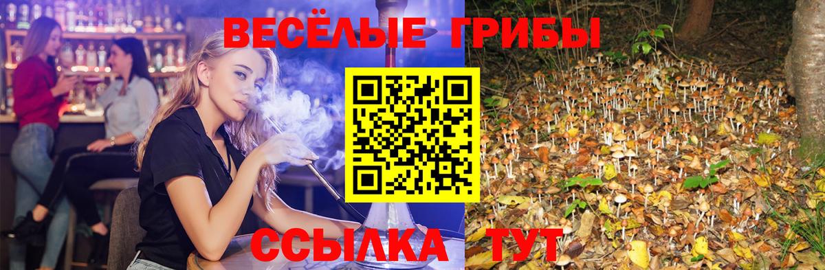 Галлюциногенные грибы мухоморы Майский